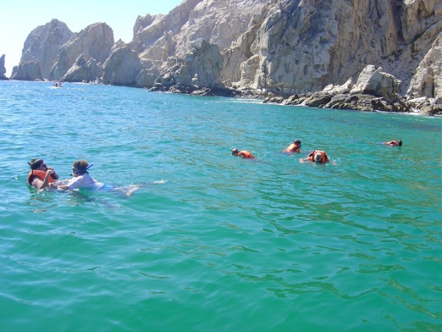  Mondo sottomarino nello snorkeling 